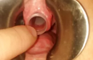 મધમાખી ભજવે છે 12