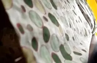 અપ્સકર્ટ વોયેઅર જાસૂસ