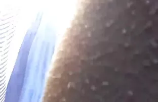 કોઈપણ રિબો