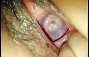 ફિસ્ટિંગ સાથે મોટી અંતરની બિલાડી