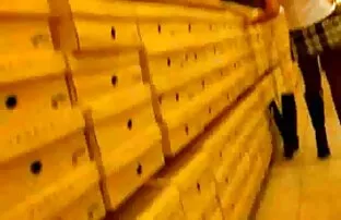 ડાન્સ પેન્ટીઝ