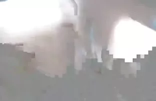 થાઇ વેશ્યા ચીસો-રફ