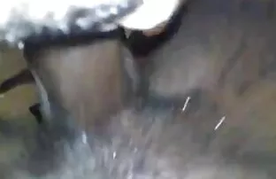 ઇબોની રાણી મારી ડિક પર સ્ક્વિર્ટિંગ