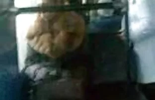પરિવહન મેળો 4