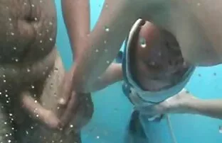 બીચ કેબીન 1
