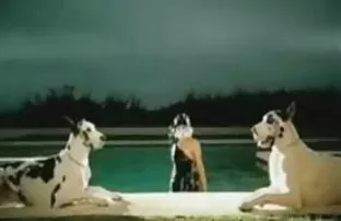 લેડી ગાગા હsશિંગ્સ