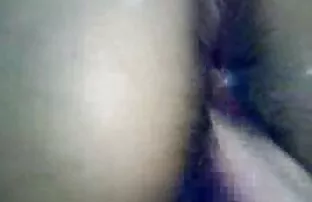 જાપાની લિસા