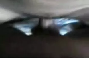 મલય ફ્યુમની કિંમત ગુલાબી છે
