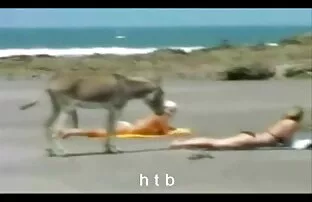ફન .4. Htb