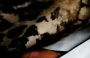 બસ દબાવો