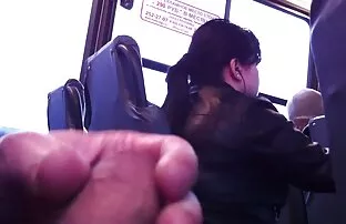 નવી 5 બસ જોઈએ છીએ