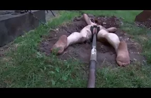 BDSM જાહેર અપમાન - તમે ગુલામ ગુલામ