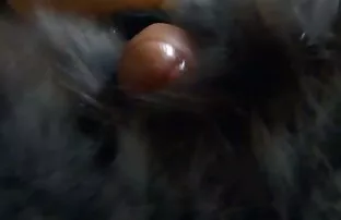 પ્રેમથી લેડી