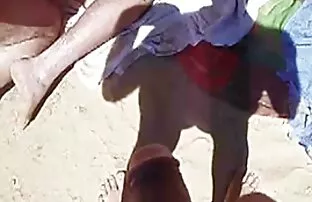 બીચ પિગ