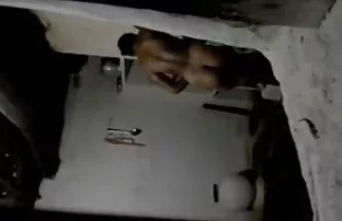 શ્રીલંકન વોયેઅર