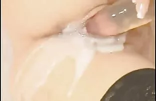 મારી ભીંજાયેલી બિલાડી