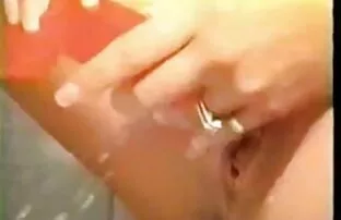ખિસકોલીનું સંકલન 1