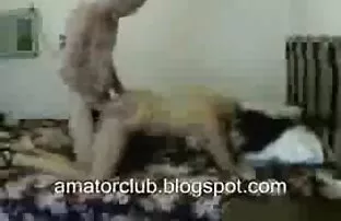 - ટર્કીશ મહિલાઓ કહે છે કે મારી બિલાડીમાં આવો