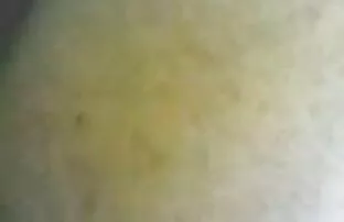 મલય સેક્સ